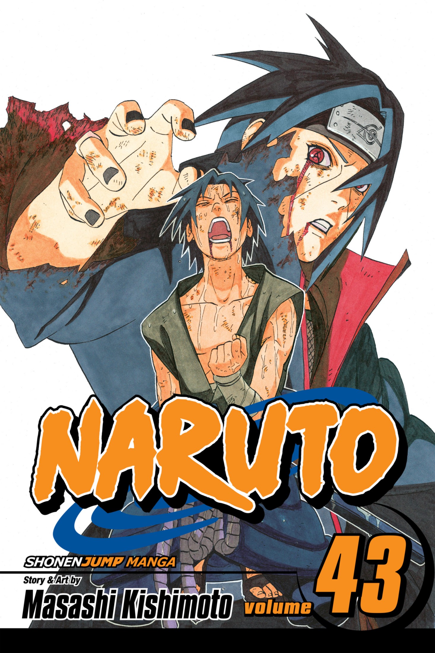 Naruto, Vol. 43: The Man With the Truth