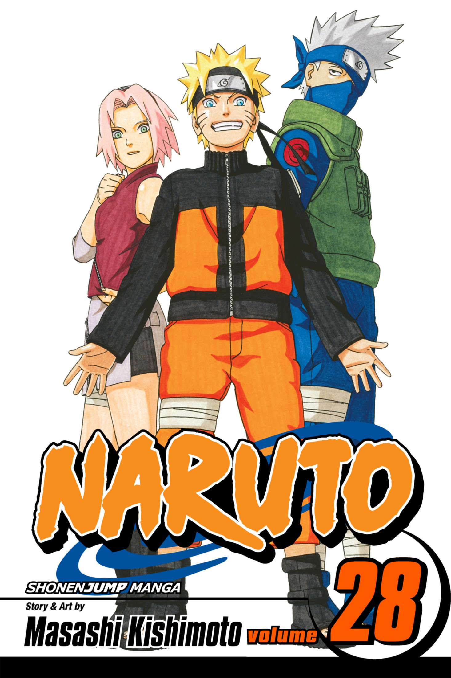 Naruto, Vol. 28: Homecoming