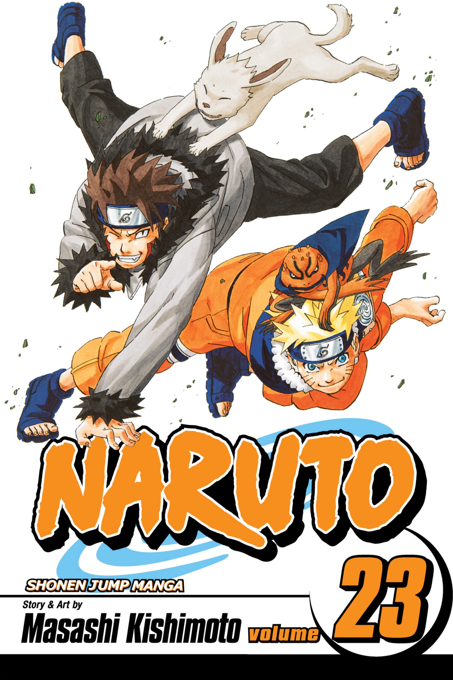 Naruto, Vol. 23: Predicament
